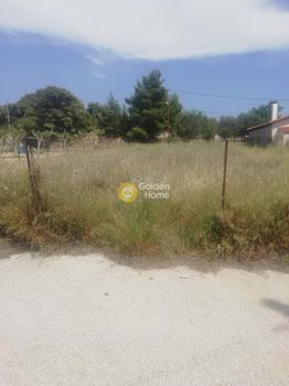 Οικόπεδο 500τ.μ. για πώληση-Κόρινθος » Γαλότα