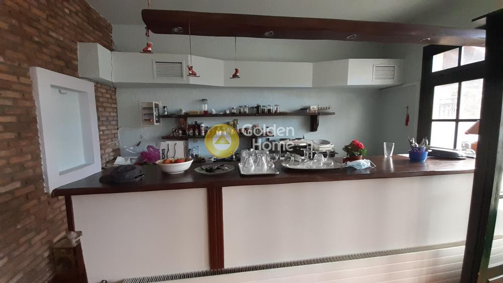 Κατάστημα 250 τ.μ. προς ενοικίαση, Αράχοβα Βοιωτίας