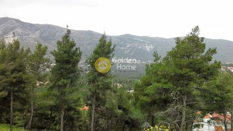 Οικόπεδο 805τ.μ. για πώληση-Σταμάτα » Κέντρο