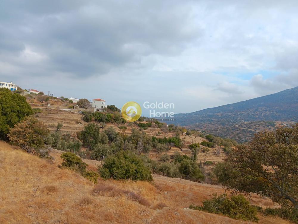 Οικόπεδο 19.347 τ.μ. προς πώληση, Χώρα Άνδρου