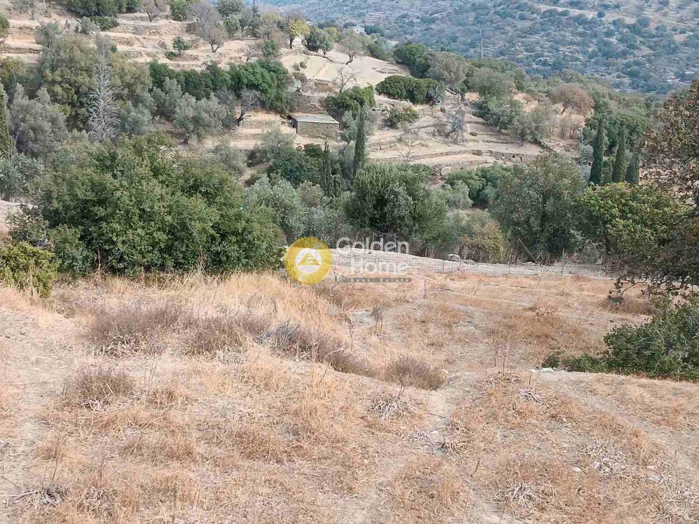 Οικόπεδο 19.347 τ.μ. προς πώληση, Χώρα Άνδρου