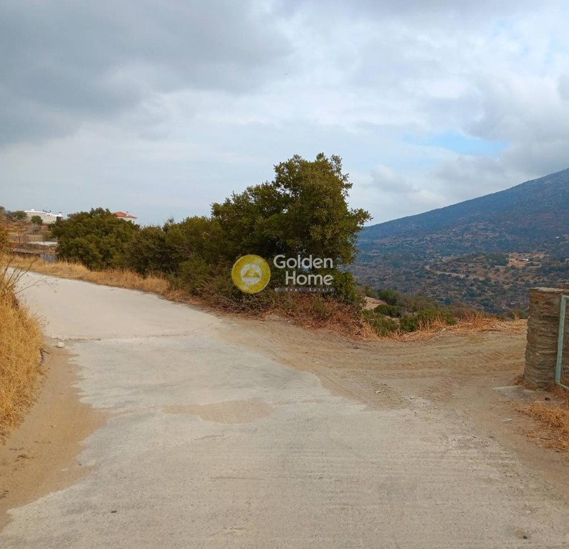 Οικόπεδο 19.347 τ.μ. προς πώληση, Χώρα Άνδρου