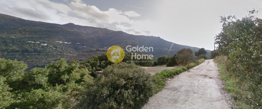 Οικόπεδο 19.347 τ.μ. προς πώληση, Χώρα Άνδρου