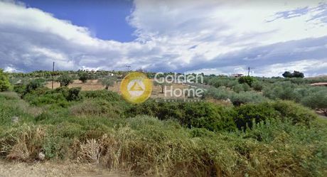 Αγροτεμάχια 4.470τ.μ. για πώληση-Κρανίδι » Πετροθάλασσα