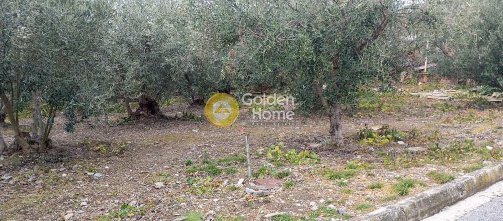 Οικόπεδο 1.375 τ.μ. πρός πώληση, Μαγνησία, Νέα Αγχίαλος