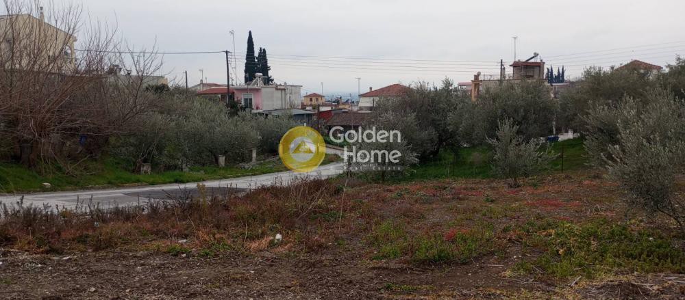 Οικόπεδο 1.375 τ.μ. πρός πώληση, Μαγνησία, Νέα Αγχίαλος