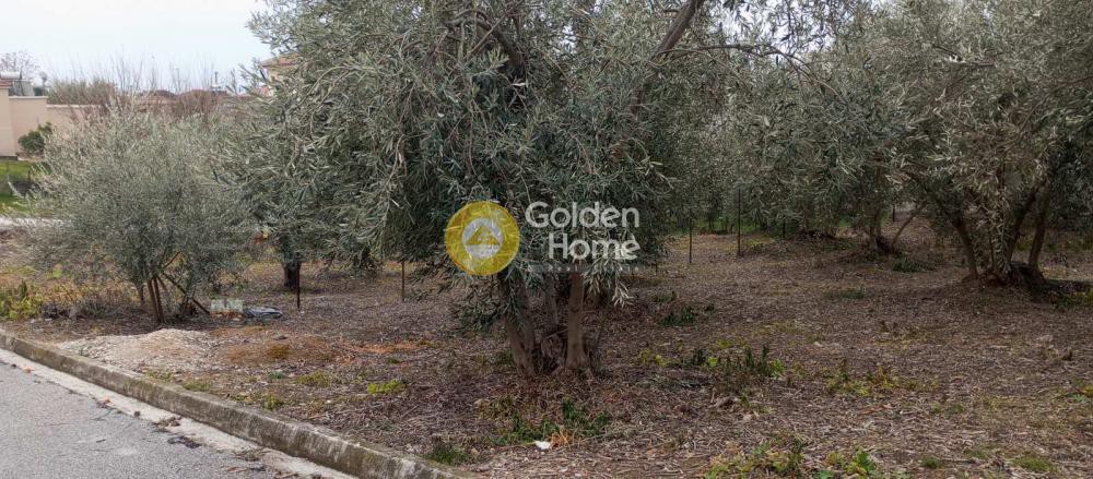 Οικόπεδο 1.375 τ.μ. πρός πώληση, Μαγνησία, Νέα Αγχίαλος