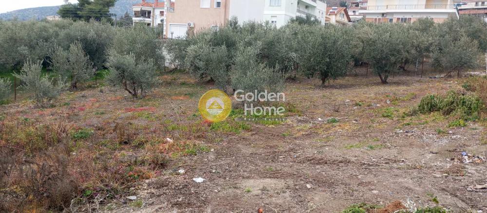 Οικόπεδο 1.375 τ.μ. πρός πώληση, Μαγνησία, Νέα Αγχίαλος