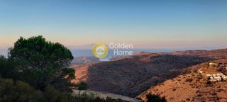 Αγροτεμάχια 4.000 τ.μ. για πώληση