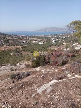 Αγροτεμάχια 4.000τ.μ. για πώληση-Σαλαμίνα » Περάνι