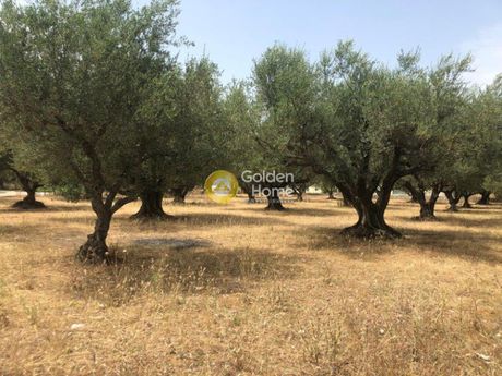 Οικόπεδο 2.827τ.μ. για πώληση-Δυτικής αχαΐας » Κέντρο