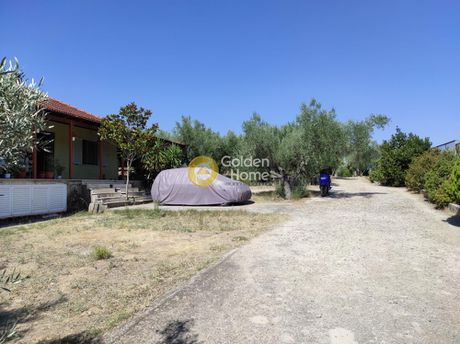 Μονοκατοικία 80τ.μ. για πώληση-Ωρωπός » Κάμπος ωρωπού