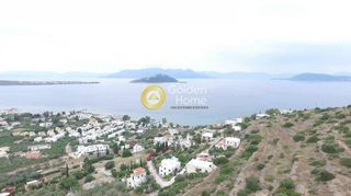 Αγροτεμάχια 8.800 τ.μ. για πώληση