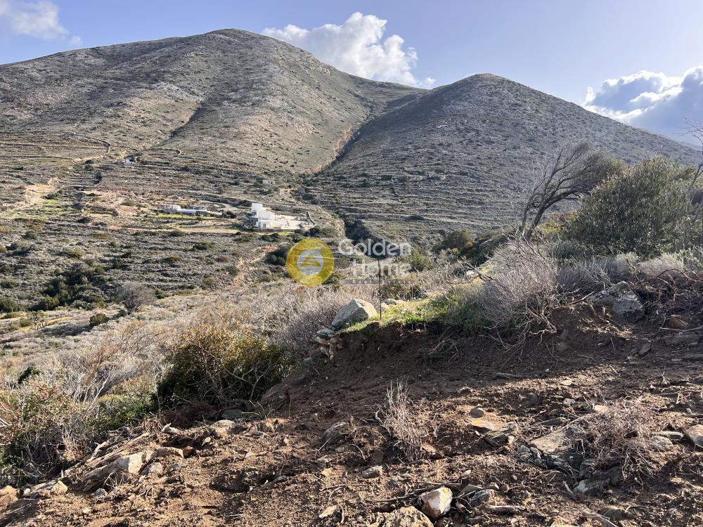 Αγροτεμάχια 15.330 τ.μ. προς πώληση, Μονή Χριστού Δάσους