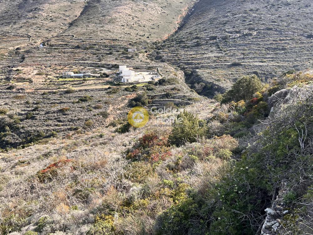Αγροτεμάχια 15.330 τ.μ. προς πώληση, Μονή Χριστού Δάσους