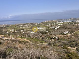 Αγροτεμάχια 15.330 τ.μ. για πώληση