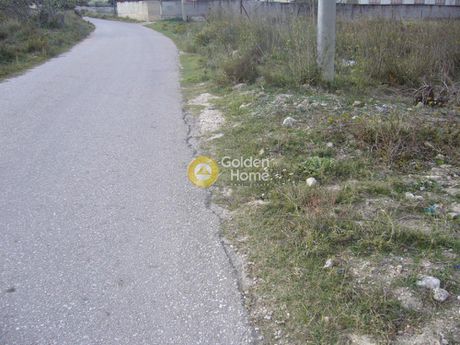 Αγροτεμάχια 3.014τ.μ. για πώληση-Κερατέα » Σάκκα
