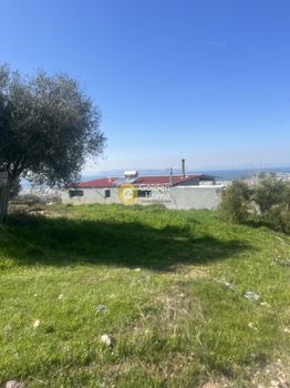 Αγροτεμάχια 276τ.μ. για πώληση-Γλυφάδα » Αιξωνή
