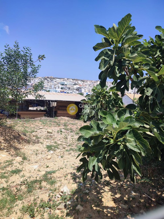 Οικόπεδο 6.000 τ.μ. προς πώληση, Πετράς