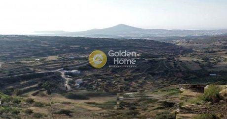 Αγροτεμάχια 2.915τ.μ. για πώληση-Πάρος » Κώστος