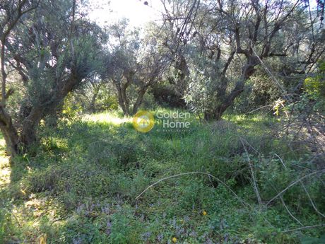 Αγροτεμάχια 6.500τ.μ. για πώληση-Αίγιο » Άγιος νικόλαος
