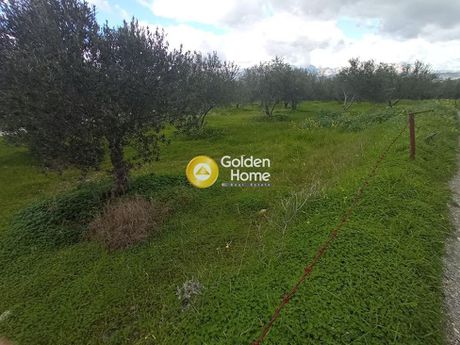 Οικόπεδο 6.000τ.μ. για πώληση-Μοίρες » Κουσές