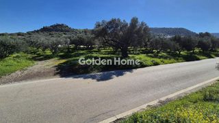 Οικόπεδο 6.154 τ.μ. πρός πώληση, Ν. Ηρακλείου, Μοίρες-thumb-11