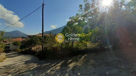 Οικόπεδο 304τ.μ. για πώληση-Λιβαδειά » Ανάληψη