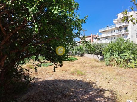 Οικόπεδο 1.077τ.μ. για πώληση-Ηλιούπολη » Αστυνομικά