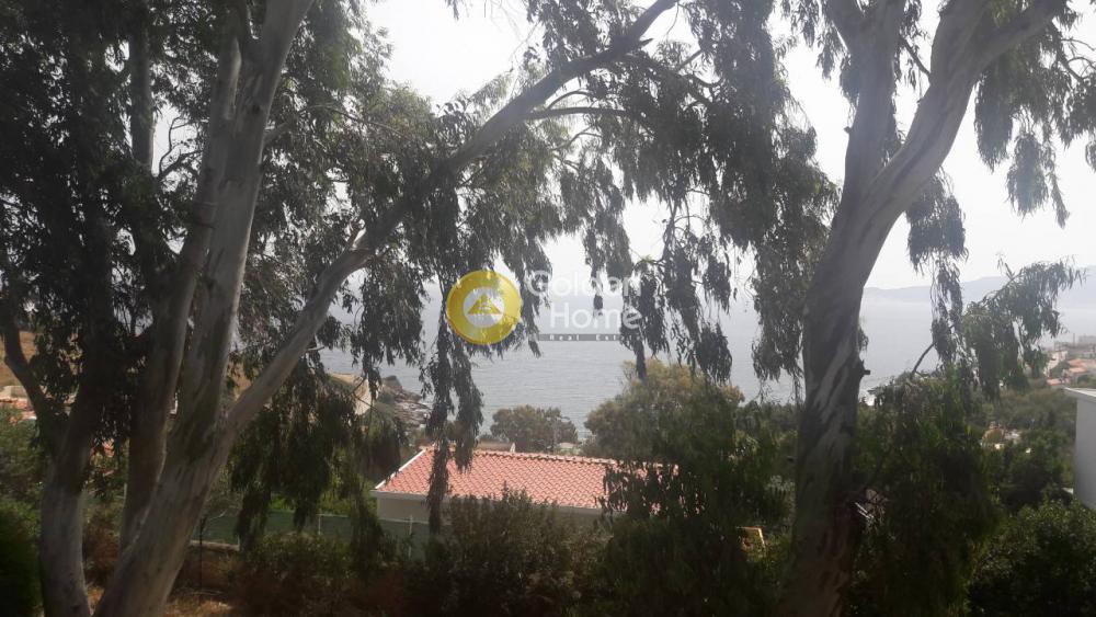 Μονοκατοικία 320 τ.μ. προς πώληση, Διψέλιζα