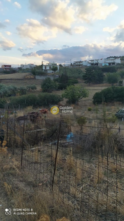 Οικόπεδο 565 τ.μ. προς πώληση, Άγιοι Απόστολοι Δύστου