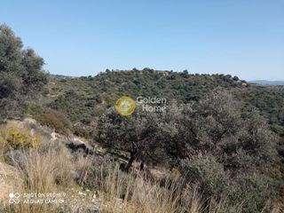 Αγροτεμάχια 80.000 τ.μ. για πώληση