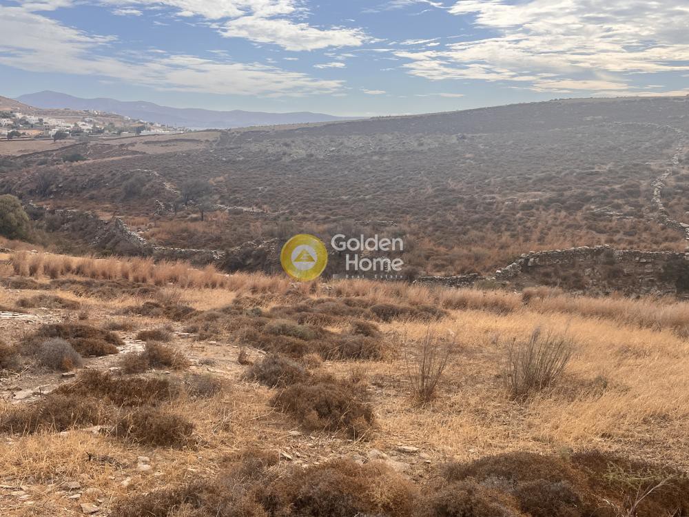 Αγροτεμάχια 4.192 τ.μ. προς πώληση, Πρόδρομος Πάρου