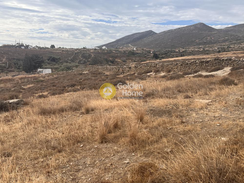 Αγροτεμάχια 4.192 τ.μ. προς πώληση, Πρόδρομος Πάρου