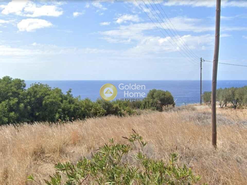 Οικόπεδο 1.373 τ.μ. προς πώληση, Αμυγδαλοκεφάλι