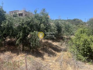 Οικόπεδο 486 τ.μ. για πώληση, Ν. Λασιθίου, Σητεία-thumb-3