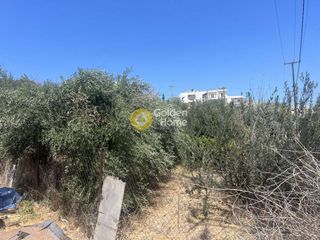 Οικόπεδο 486 τ.μ. για πώληση, Ν. Λασιθίου, Σητεία-thumb-4