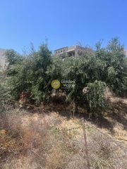 Οικόπεδο 486 τ.μ. για πώληση, Ν. Λασιθίου, Σητεία-thumb-5