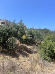 Οικόπεδο 486 τ.μ. για πώληση, Ν. Λασιθίου, Σητεία-thumb-6
