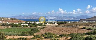 Αγροτεμάχια 8.056 τ.μ. για πώληση