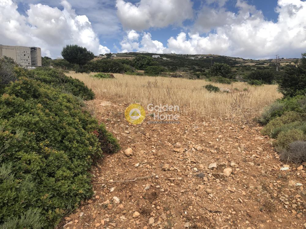 Αγροτεμάχια 8.056 τ.μ. προς πώληση, Γλυφάδες