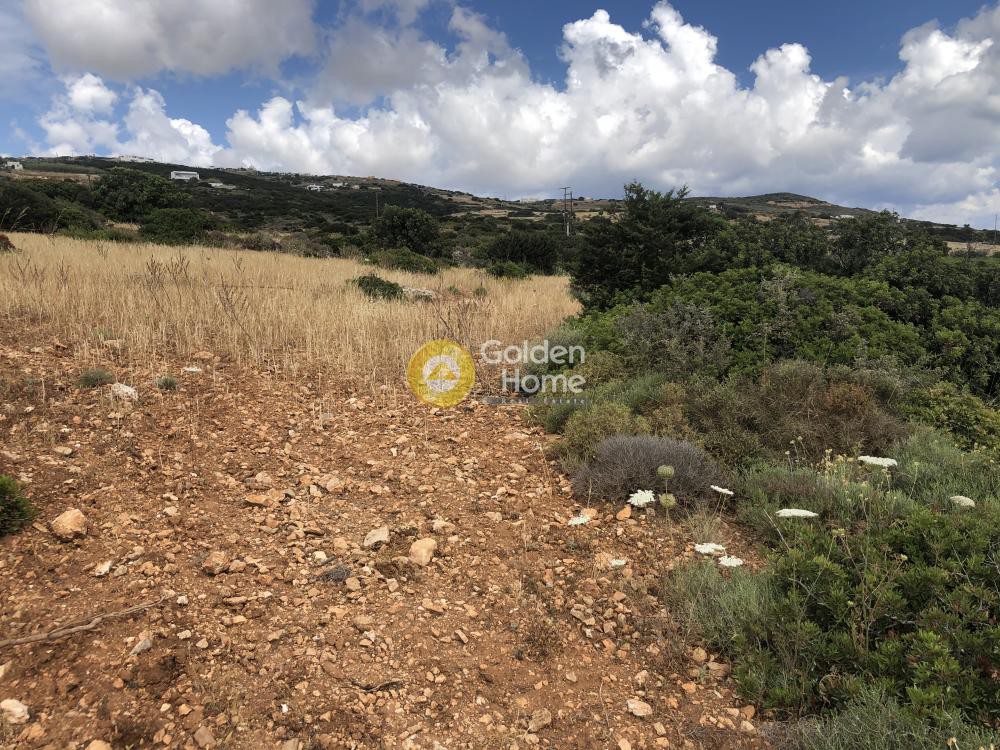 Αγροτεμάχια 8.056 τ.μ. προς πώληση, Γλυφάδες