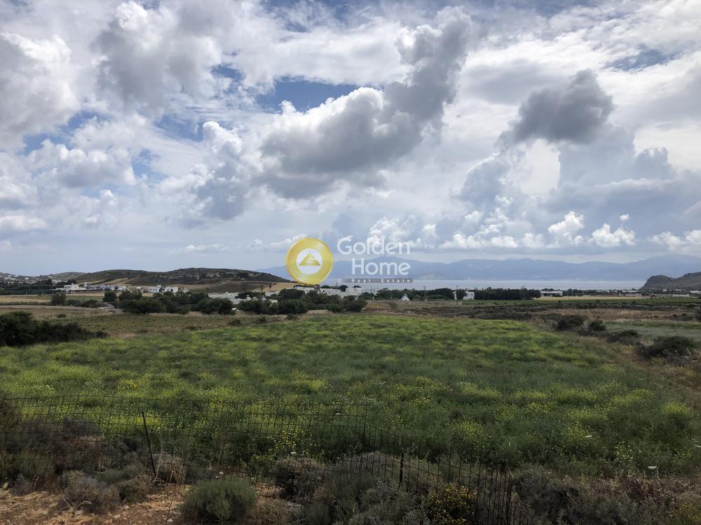 Αγροτεμάχια 8.056 τ.μ. προς πώληση, Γλυφάδες