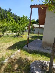 Οικόπεδο 7.700 τ.μ. πρός πώληση, Φωκίδα, Κάλλιας-thumb-23