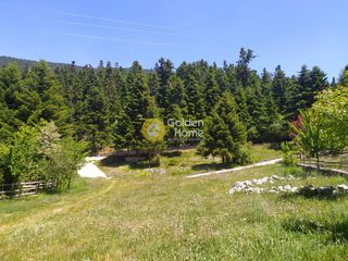 Οικόπεδο 7.700 τ.μ. πρός πώληση, Φωκίδα, Κάλλιας-thumb-35