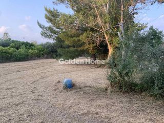 Οικόπεδο 1.040 τ.μ. προς πώληση, Λαμπίρι Ερινεού-thumb-5