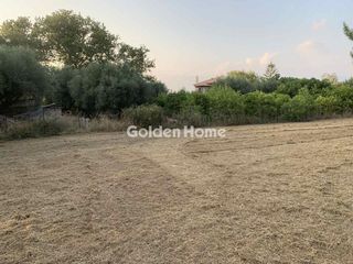 Οικόπεδο 1.040 τ.μ. προς πώληση, Λαμπίρι Ερινεού-thumb-7