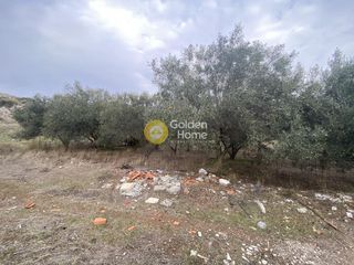 Αγροτεμάχια 384 τ.μ. για πώληση