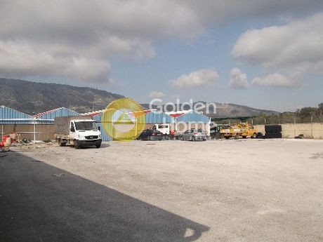 Warehouse 6.000 sqm for sale