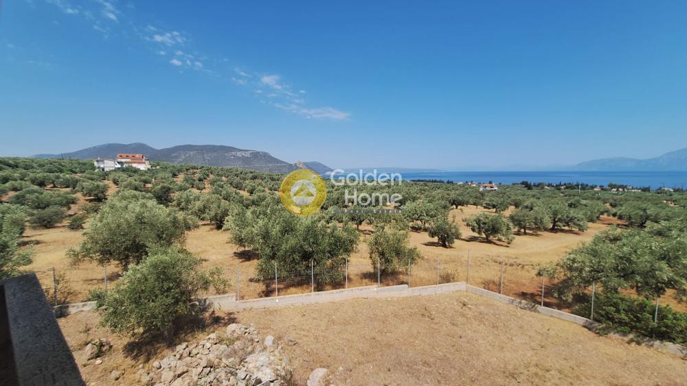 Μεζονέτα 430 τ.μ. προς πώληση, Ανθηδόνα